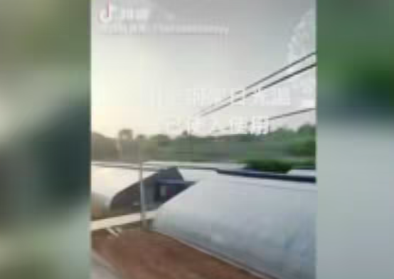 洛阳全钢架日光温室大棚投入使用