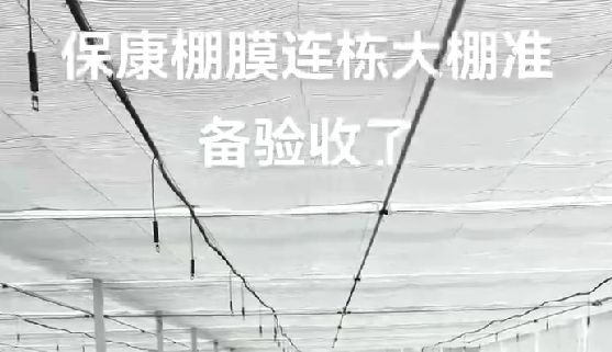 保康棚膜连栋大棚准备验收
