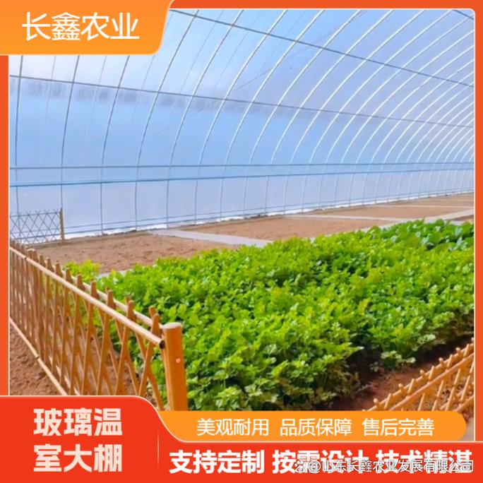 福建玻璃温室大棚造价